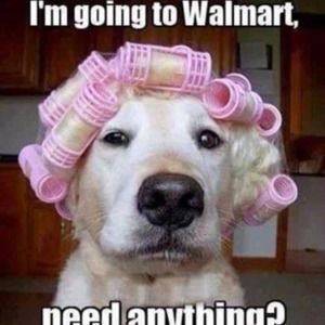 Meet your Posher, Gail